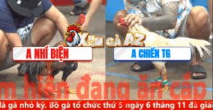 Trận 10 CPC5 6/11/2025 - Nhí Biện Đụng A Chiến Tiền Giang Căng Não