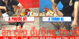 Trận 28 CPC5 10/11/2025 - Điều Anh Phước Gồng Tới Phút 90 Đá Xám Bỏ Chạy