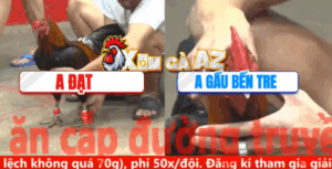 Trận 28 CPC5 6/11/2025 - Gấu Bến Tre Tiếp Tục Hạ Đối Thủ Dễ Dàng