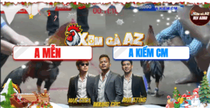 Trận 13 Bồ Hà Tiên 20/11/2025 - Kiểm Cà Mau Tiếp Tục Khiến Anh Mễn Gặp Cay Đắng