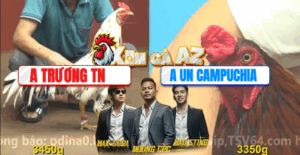 Trận 15 CPC4 11/11/2025 - Trương Tây Ninh Đưa Un Campuchia Ra Đảo