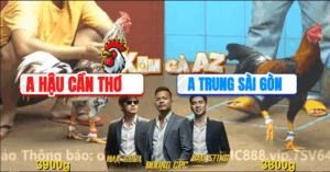 Trận 20 CPC4 11/11/2025 - Gà Bông Phóng Bạc Ăn 5 Buông Ra Điều Đá Hư Tuyệt Đối