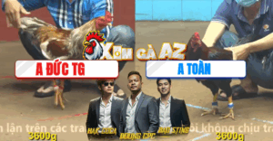 Trận 26 CPC4 11/11/2025 - Một Pha Phản Kèo Ngoạn Mục Khiến Cả Bồ Bật Ngửa