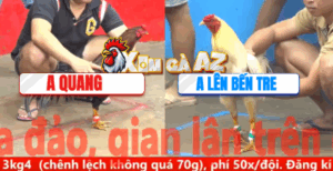 Trận 4 CPC5 6/11/2025 - Quang Vũng Tàu Ra Trận Lớn Gặp Đối Thủ Lớn