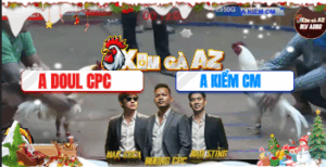 Trận 28 Bồ Hà Tiên 20/11/2025 - Doul Campuchia Dưới Màu Kiểm Cà Mau Hôm Nay