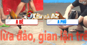 Trận 12 CPC5 7/11/2025 - Xanh Của Anh Phú Không Làm Anh Em Thất Vọng