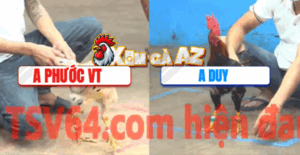 Trận 18 CPC5 7/11/2025 - Bướm Anh Phước Vũng Tàu Đá Bo Như Cây Đập