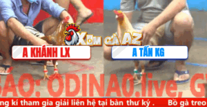 Trận 2 CPC5 8/11/2025 - Cú Anh Tấn Kiên Giang Bắt Quạ Bắt Bướm Thành Công