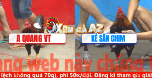 Trận 7 CPC5 6/11/2025 - Kẻ Săn Chim Hạ Tuyệt Đối Quang Vũng Tàu