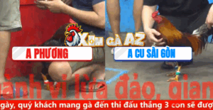 Trận 29 CPC5 8/11/2025 - Cu Sài Gòn Chuyển Bại Thành Thắng Quá Khủng Khiếp