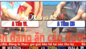 Trận 1 CPC5 5/11/2025