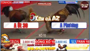 Trận 10 Tonhon 11/1/2025