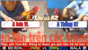 Trận 11 CPC5 5/11/2025