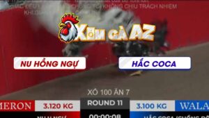 Tran 11 Ton Hon 2112025