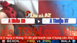 Trận 23 CPC5 4/11/2025