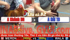 Trận 28 CPC5 3/11/2025