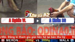 Trận 33 CPC5 5/11/2025