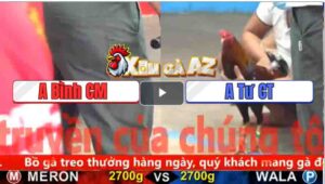 Trận 5 CPC5 1/11/2025