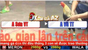 Trận 5 CPC5 5/11/2025