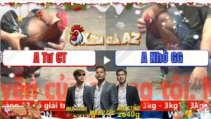 Trận 9 CPC5 24/11/2025