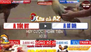 Trận 9 Tonhon 11/1/2025