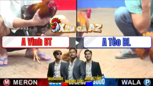 Trận 29 CPC3 28/12/2025