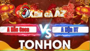 Trận Tonhon 31/12/2025