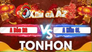 Trận 8 Tonhon 31/12/2025