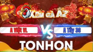 Trận 9 Tonhon 31/12/2025