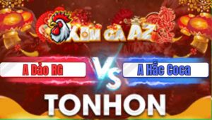 Trận 14 Tonhon 31/12/2025