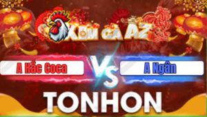 Trận 15 Tonhon 31/12/2025