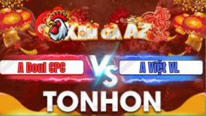 Trận 17 Tonhon 31/12/2025