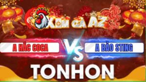 Trận 24 Tonhon 31/12/2025