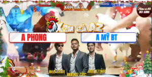 Trận 11 Bồ Tonhon 15/12/2025 - Mỹ Bến Tre Chồng Độ Tiếp Tục Lụm Lúa Thành Công