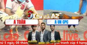 Trận 28 Bồ CPC5 28/12/2025 - Gà Anh Un Chấp Nửa Ký Gà Và Cái Kết