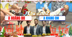 Trận 6 Bồ CPC5 8/12/2025 - Hoàng Đức Hòa Đưa Gà Điều Đâm Như Chĩa