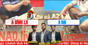 Trận 11 Bồ CPC5 28/12/2025 - Gà Anh Đại Cần Thơ Ăn Độ Gà Quá Hay