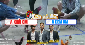 Trận 26 Bồ Xà Xía 28/12/2025 - Kiểm Cà Mau Ngông Cuồng Chấp Gần 1 Ký Gà