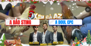 Trận 28 Bồ Tonhon 10/12/2025 - Bảo Sting Vào Giải Trận Đầu Cắn Cưa Với Bòn Doul