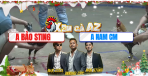 Trận 33 Bồ Xà Xía 19/12/2025 - Bảo Sting Tiếp Tục Khiến Đối Thủ Phải Tắt Thở