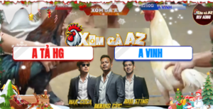 Trận 18 Bồ Tonhon 12/12/2025 - Điều Cọp Anh Tả Hot Nhất Tonhon Hôm Nay