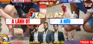 Trận 18 Bồ Tonhon 29/12/2025 - Gà Anh Hiếu Ra Cựa Khủng Khiến Cho Gà Anh Lành Phải La Miệng