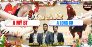 Trận 7 Bồ Tonhon 15/12/2025 - Mỹ Bến Tre Gặp Đối Thủ Cứng Cựa Đến Từ Châu Đốc