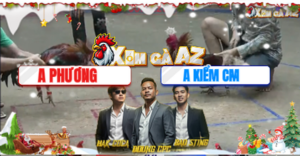 Trận 44 Bồ Xà Xía 19/12/2025 - Nu Đồng Tháp Được Kiểm Cà Mau Cho Dư 3 Chấm Gà