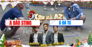 Trận 16 Bồ Xà Xía 7/12/2025 - Bảo Sting Rớt Lại Với Anh Ba Trà Cú Tiếp Tục