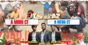 Trận 6 Bồ CPC5 13/12/2025 - Điều Cọp Hưng Cần Thơ Đâm Như Chĩa Hạ Đối Thủ