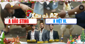 Trận 51 Bồ Tonhon 10/12/2025 - Bảo Sting Gặp Đương Kim Vô Địch Giải Đấu Và Cái Kết