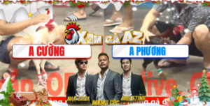 Trận 17 Bồ CPC5 13/12/2025 - Trận Đấu Căng Não Giữa 2 Con Cọp Nhây Nhưa Phút 90