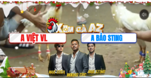 Trận 53 Bồ Tonhon 10/12/2025 - Việt Vĩnh Long Tiếp Tục Chồng Độ Đụng Bảo Sting