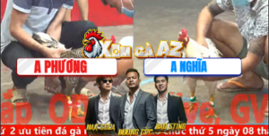 Trận 18 Bồ CPC5 28/12/2025 - Gà Cú Anh Phương Ra Chân Cay Nghiệt Hạ Bướm Đối Thủ